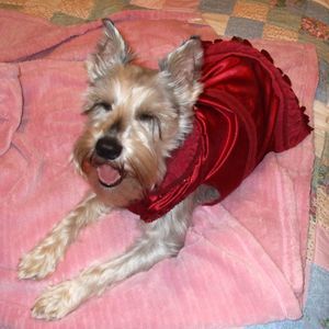 Meet your Posher, Andrea